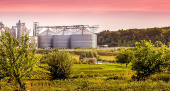 biomass-image